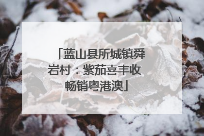 蓝山县所城镇舜岩村：紫茄喜丰收 畅销粤港澳